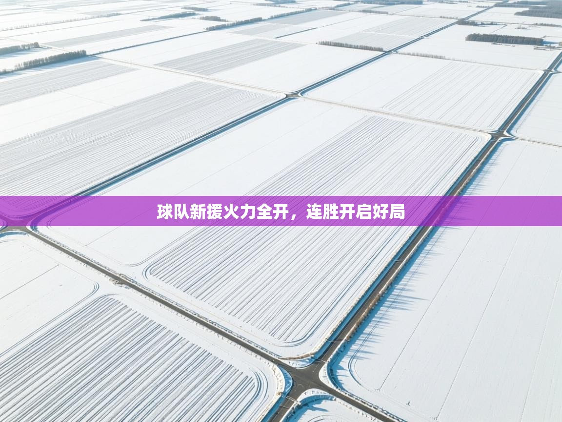 球队新援火力全开，连胜开启好局  第2张