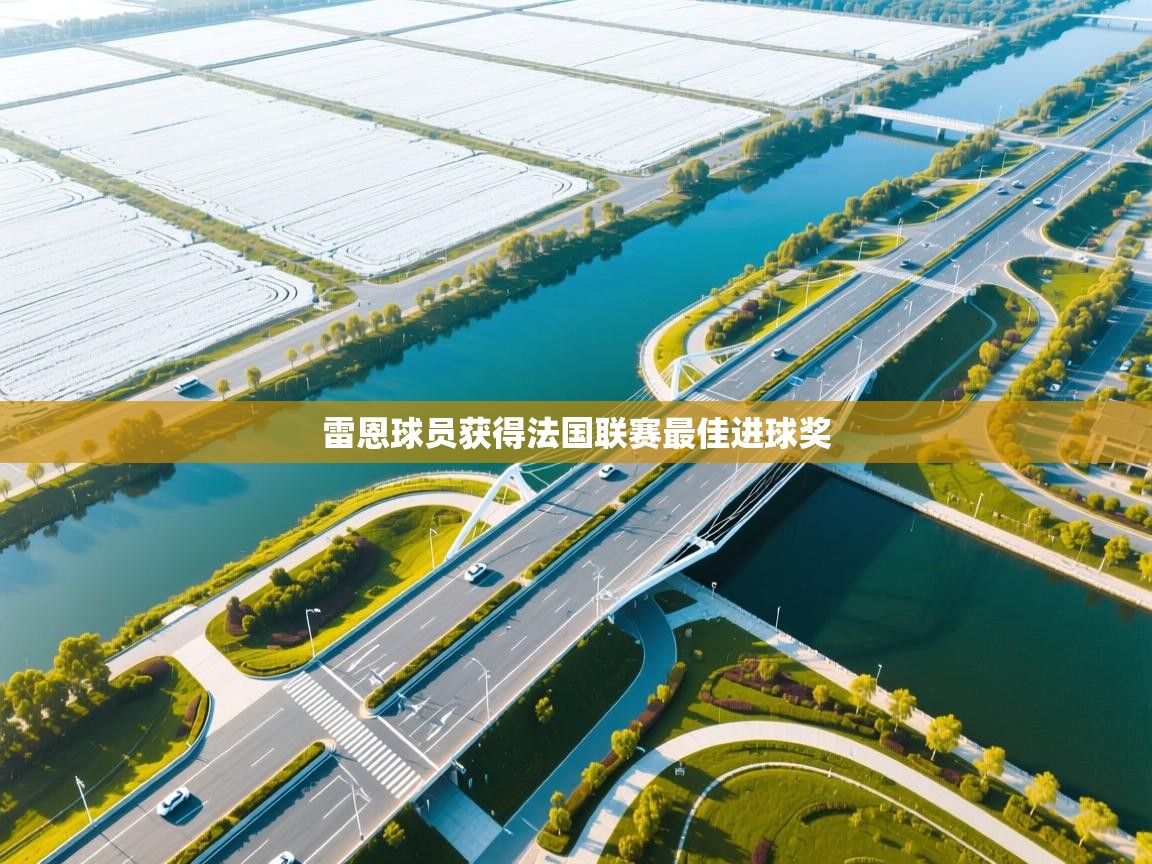 雷恩球员获得法国联赛最佳进球奖 第1张