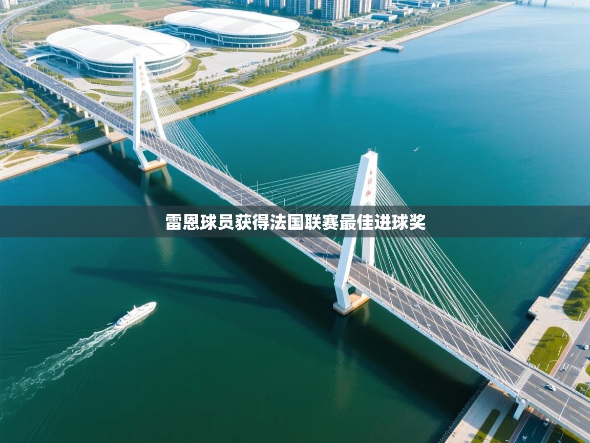 雷恩球员获得法国联赛最佳进球奖 第2张