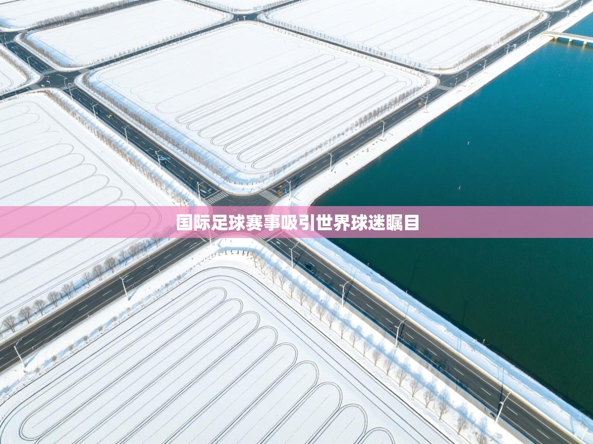 国际足球赛事吸引世界球迷瞩目 第2张