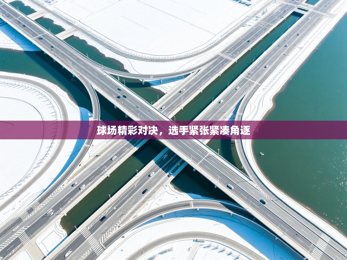 球场精彩对决，选手紧张紧凑角逐  第2张