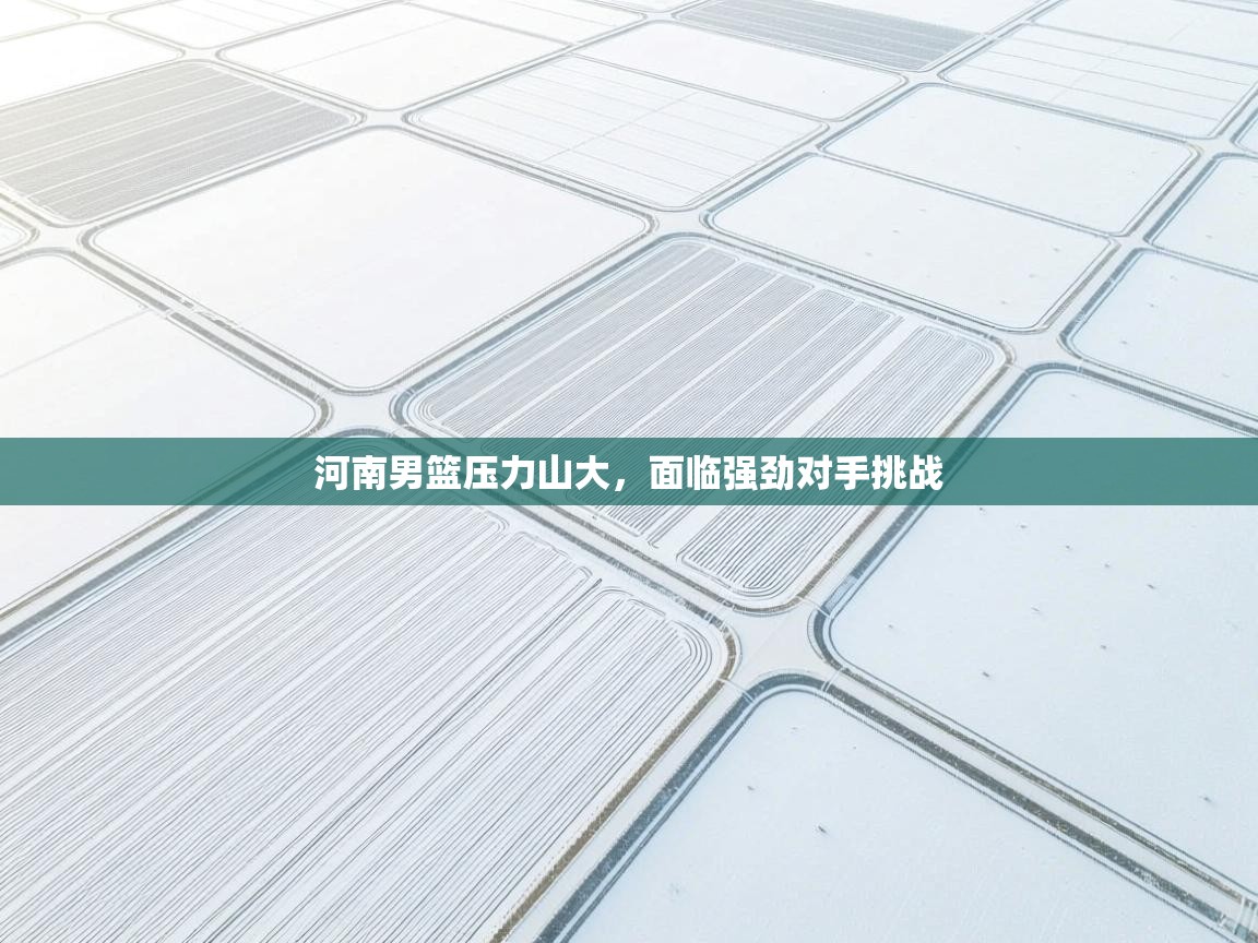 河南男篮压力山大，面临强劲对手挑战