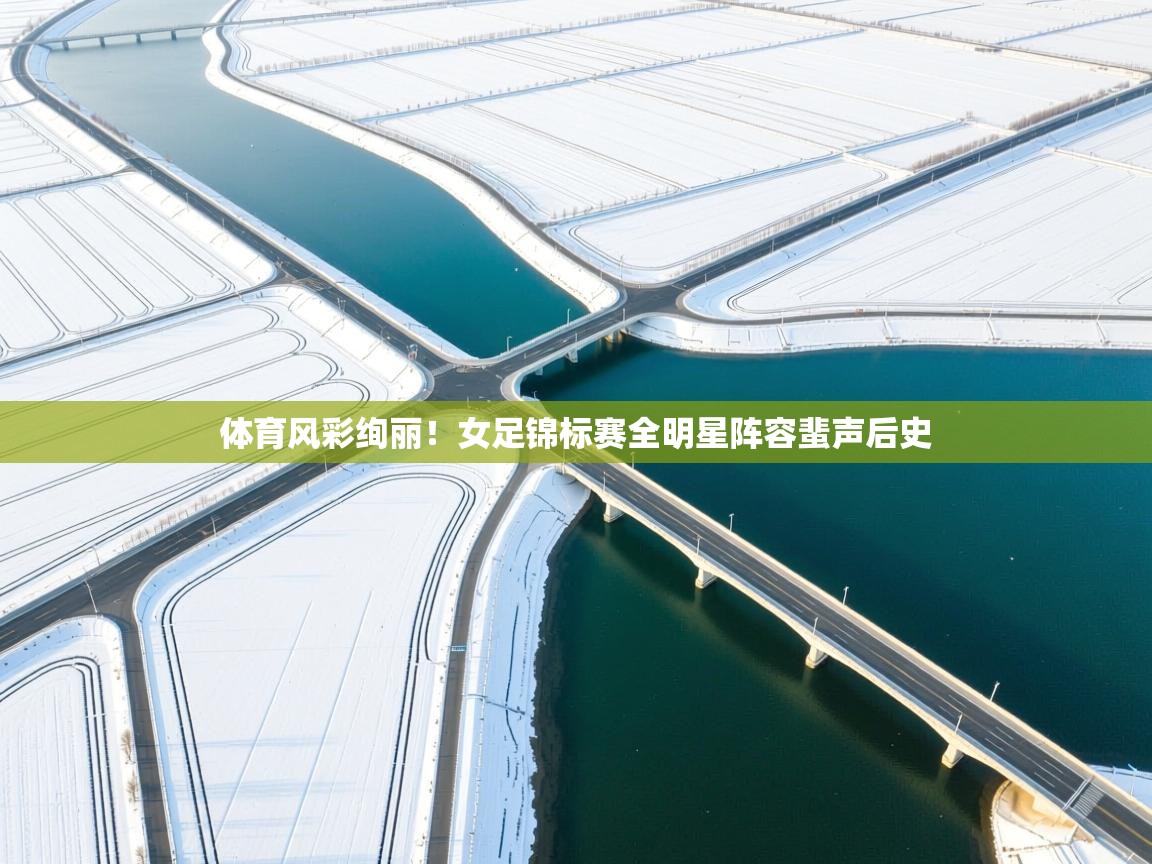 体育风彩绚丽！女足锦标赛全明星阵容蜚声后史  第1张