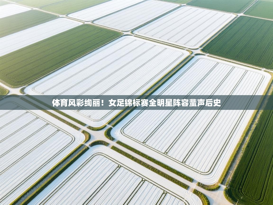 体育风彩绚丽！女足锦标赛全明星阵容蜚声后史  第2张