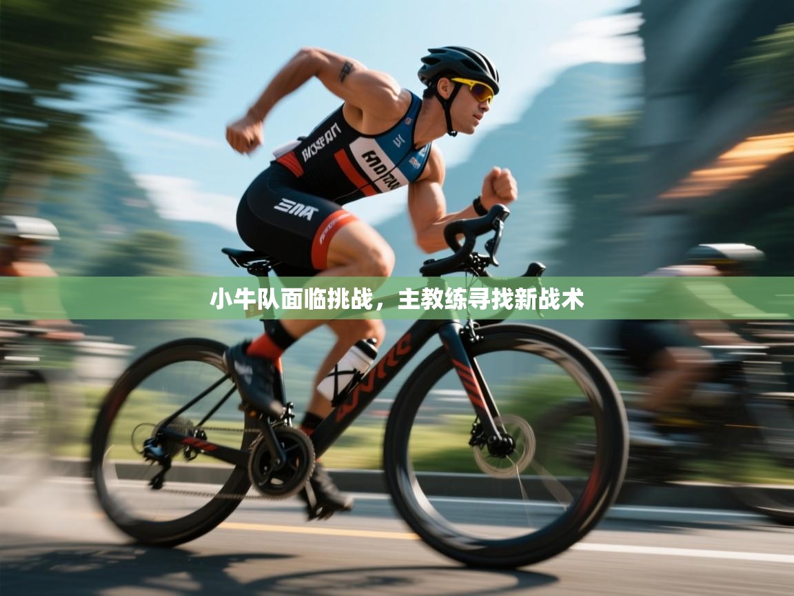 小牛队面临挑战,主教练寻找新战术 第1张