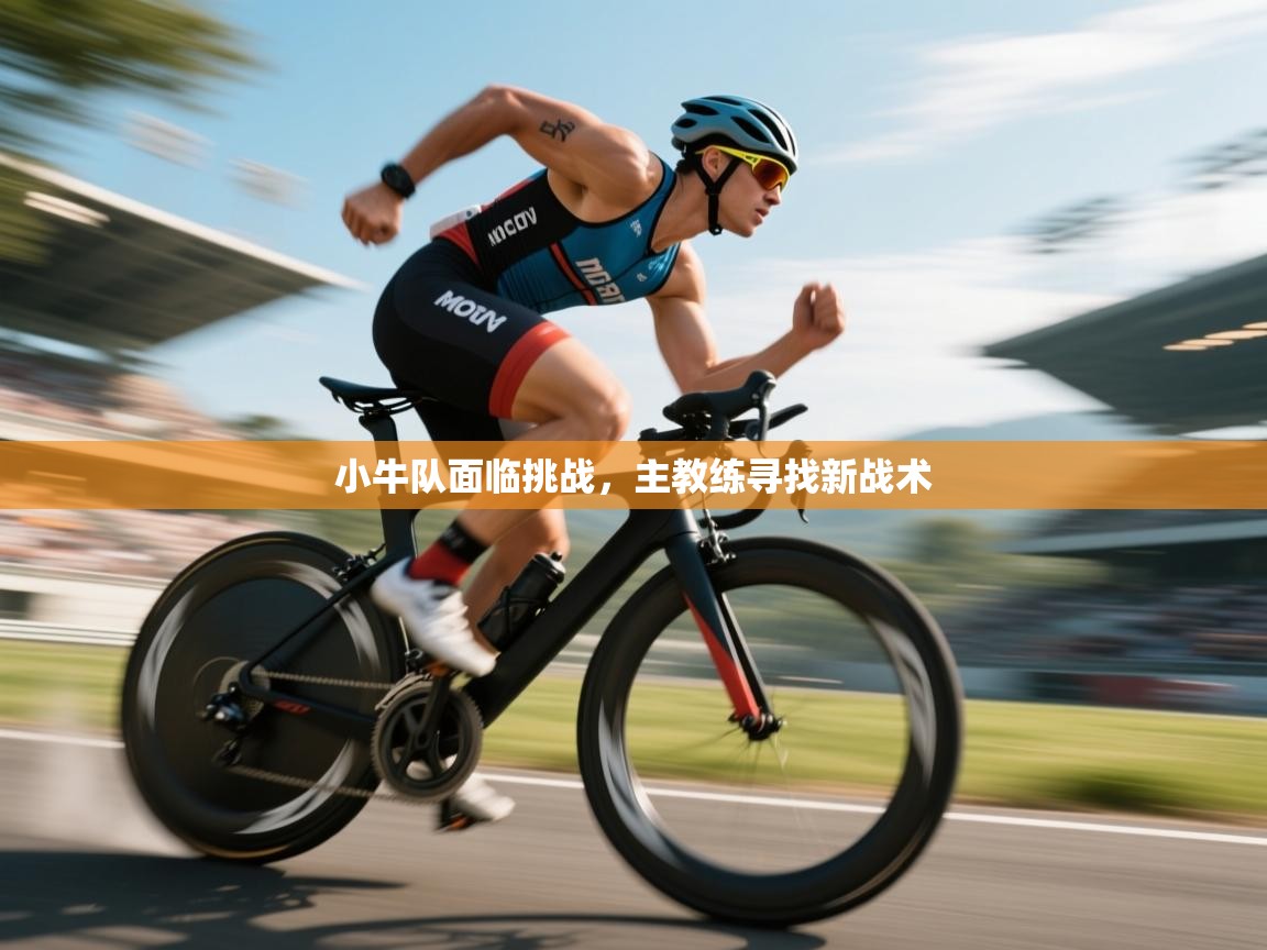 小牛队面临挑战,主教练寻找新战术 第2张