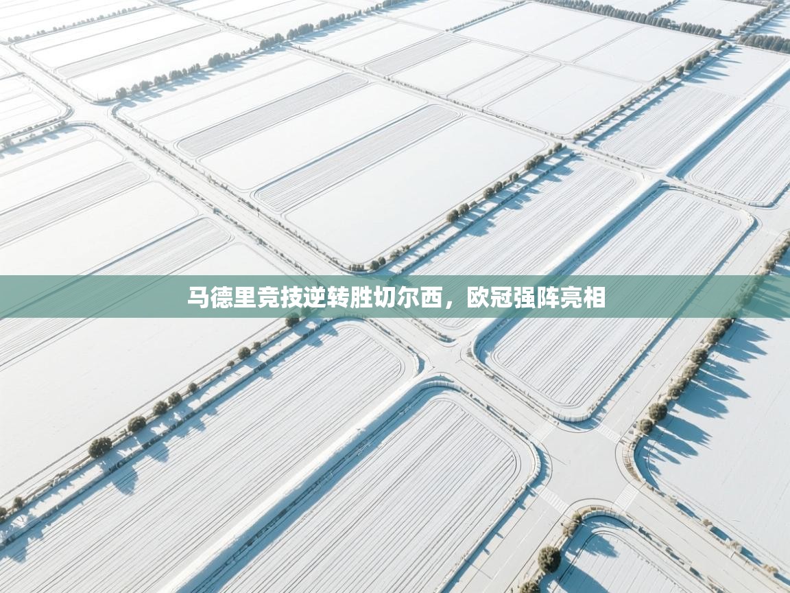 马德里竞技逆转胜切尔西，欧冠强阵亮相  第2张