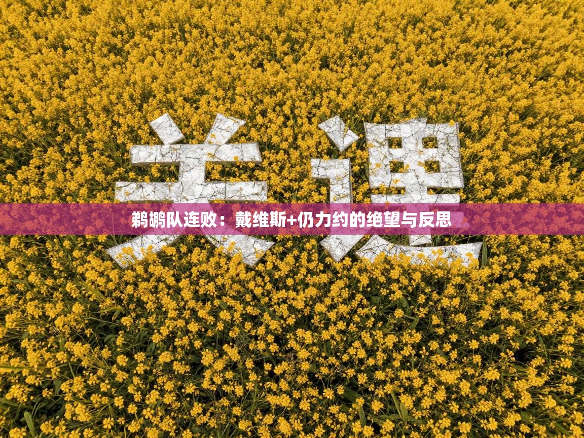 鹈鹕队连败：戴维斯+仍力约的绝望与反思  第1张