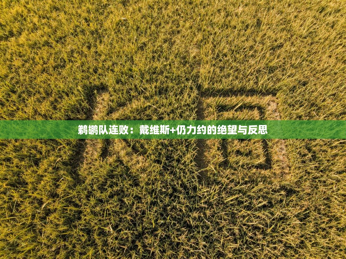 鹈鹕队连败：戴维斯+仍力约的绝望与反思  第2张